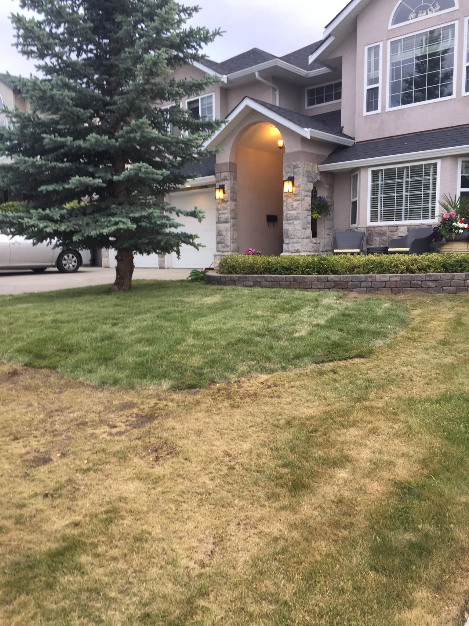 Same Kamloops yard after fresh sod installation