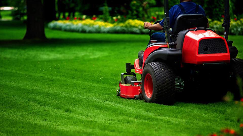Yard maintenance and mowing service in Kamloops